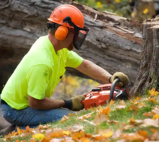 tree services Loch Sheldrake